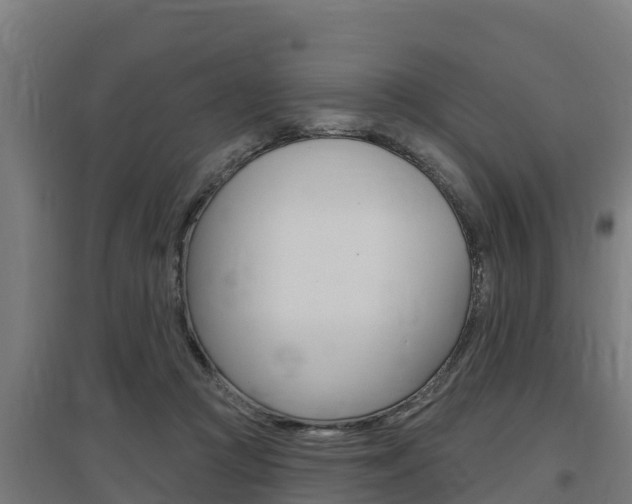 X0000097590361200802290754