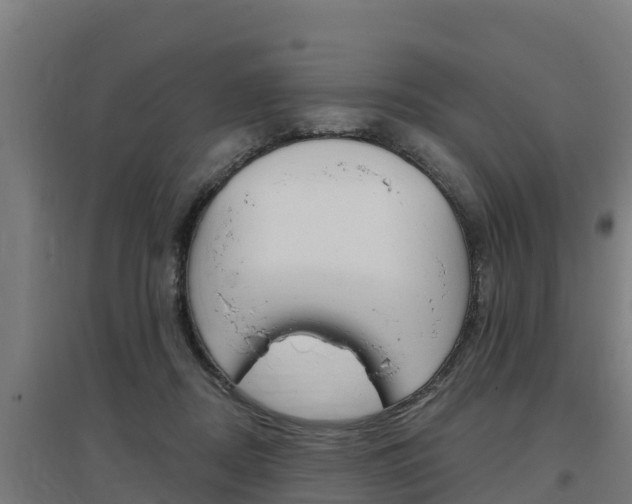 X0000097590362200802290754