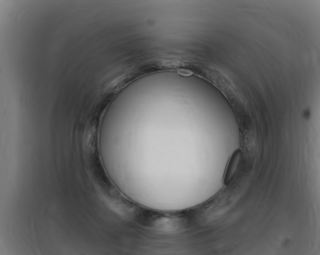 X0000097590364200802290754