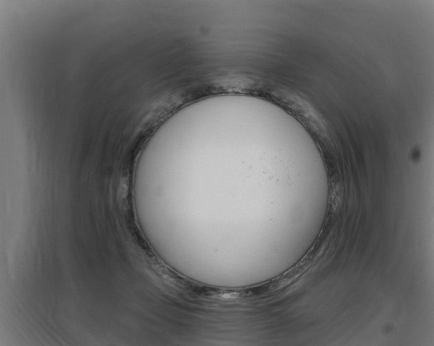 X0000097590365200802290754