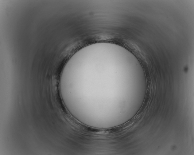 X0000097590366200802290754