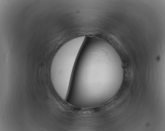 X0000097590368200802290754