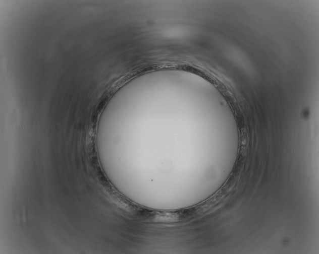 X0000097590369200802290754