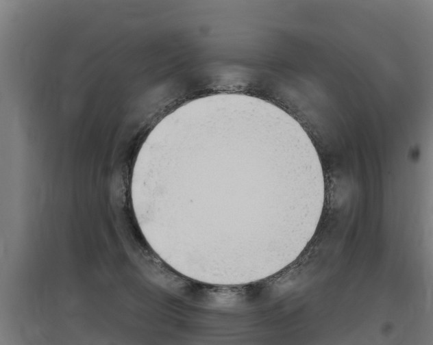 X0000097590370200802290754
