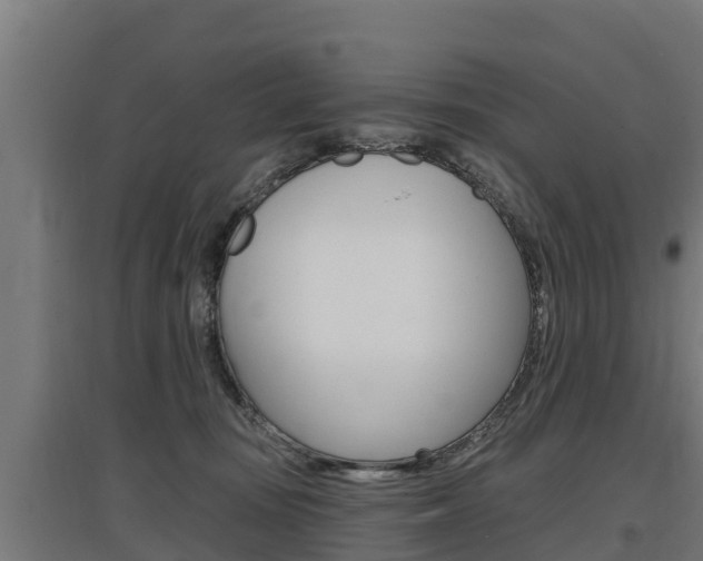 X0000097590371200802290754