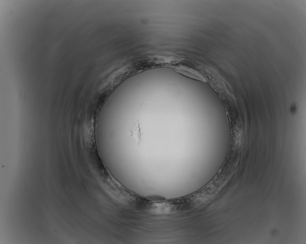 X0000097590376200802290754