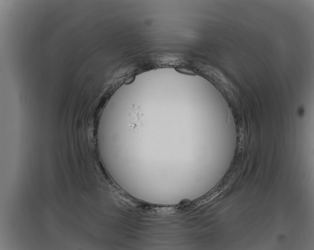 X0000097590377200802290754