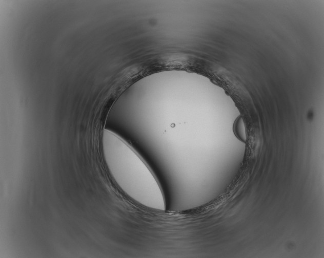 X0000097590379200802290754