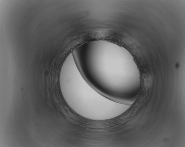 X0000097590380200802290754