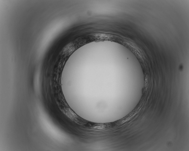 X0000097590381200802290754
