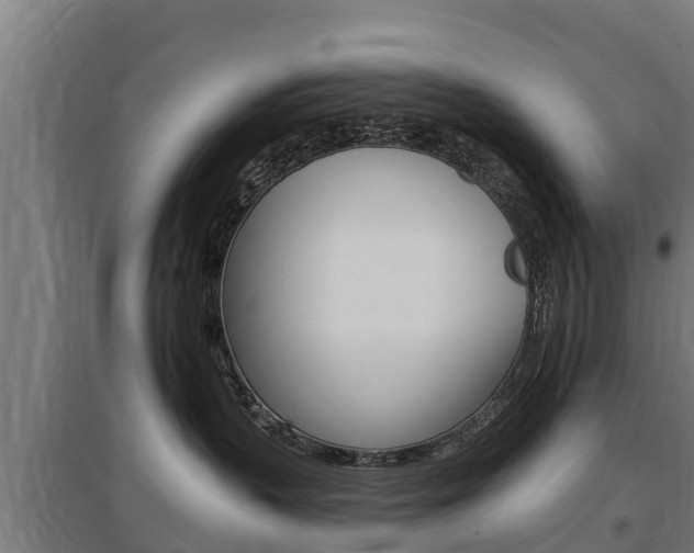 X0000097590383200802290755