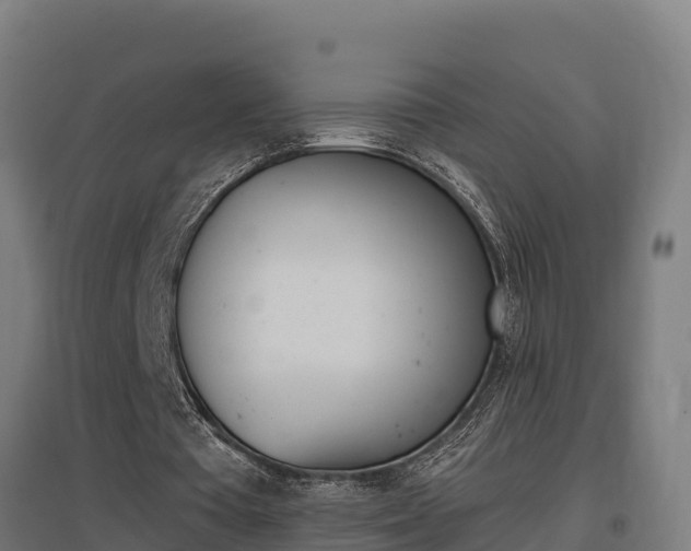 X0000097590385200802290754