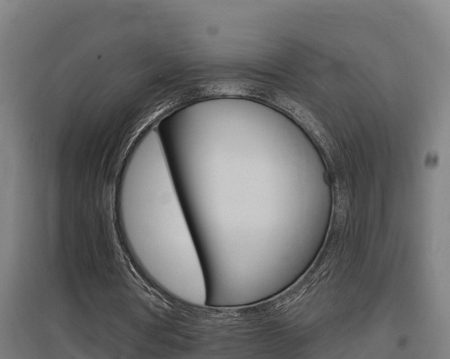 X0000097590386200802290754