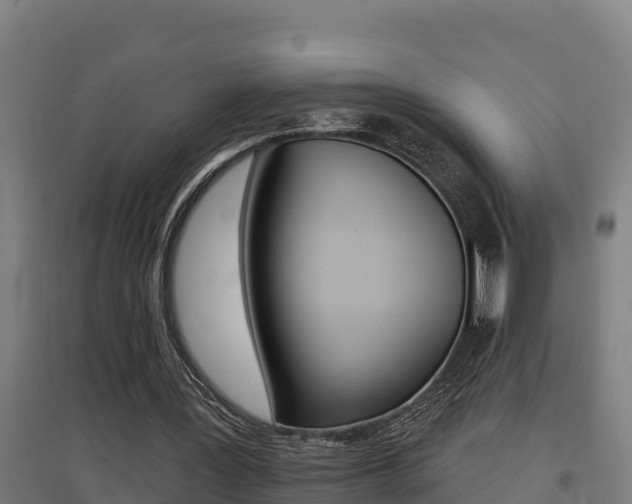 X0000097590387200802290754