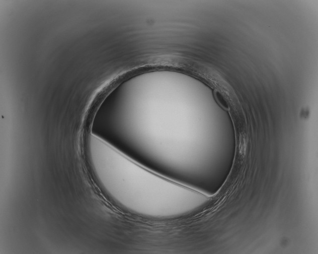 X0000097590388200802290754