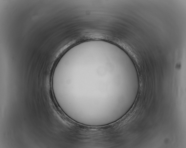 X0000097590390200802290754