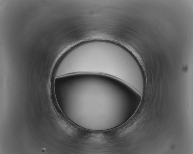 X0000097590391200802290754