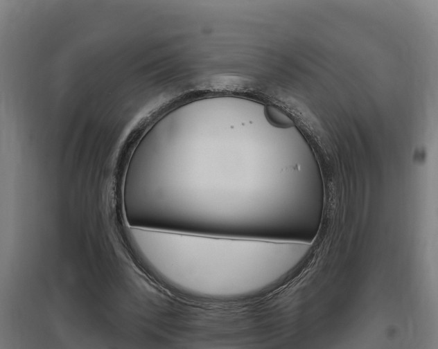 X0000097590392200802290754