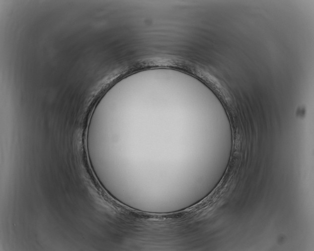 X0000097590394200802290754
