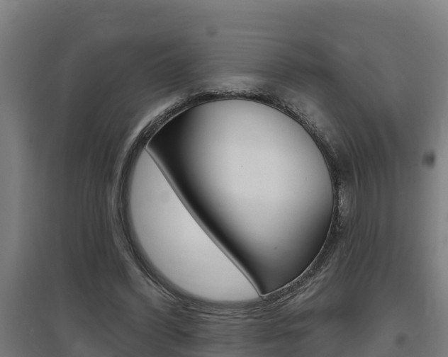 X0000097590396200802290754