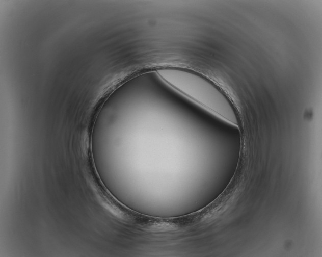 X0000097590397200802290754