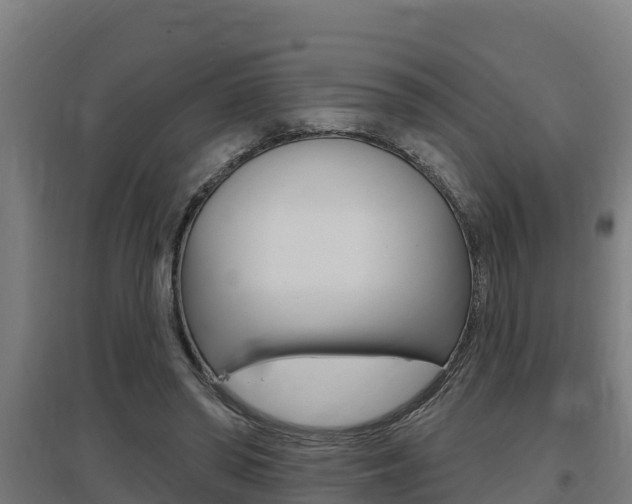 X0000097590398200802290754