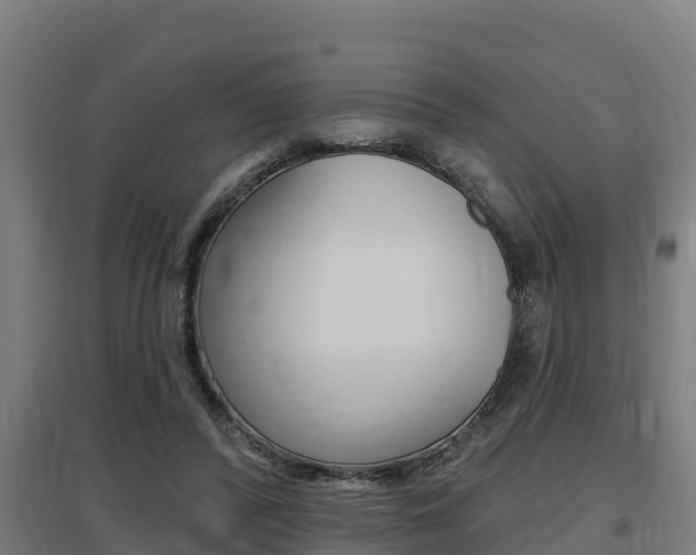 X0000097590400200802290754