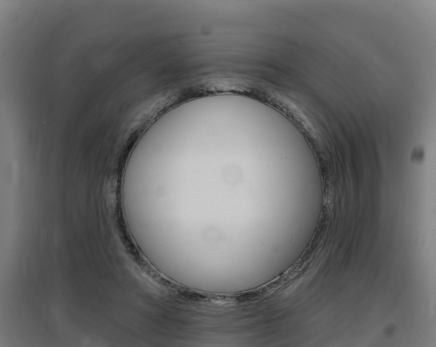 X0000097590402200802290754