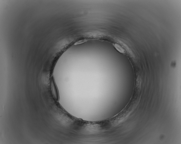 X0000097590403200802290754