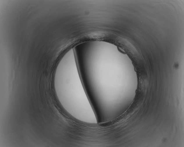 X0000097590404200802290754