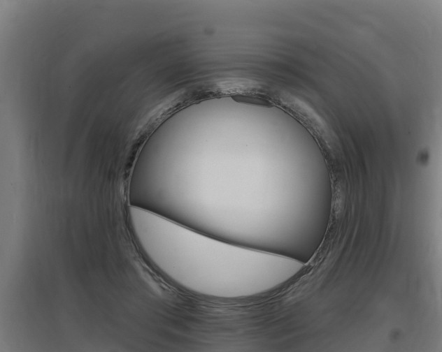 X0000097590405200802290753