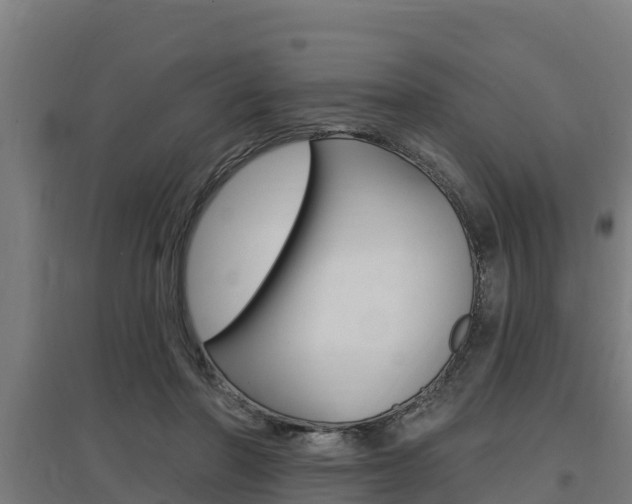X0000097590406200802290753