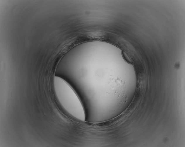 X0000097590408200802290753