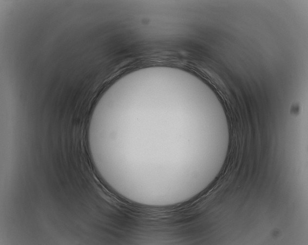X0000097590409200802290753