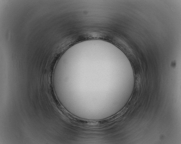 X0000097590410200802290753