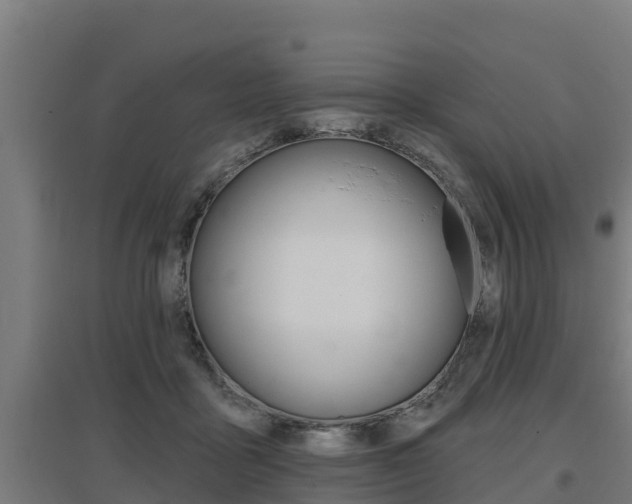 X0000097590411200802290753