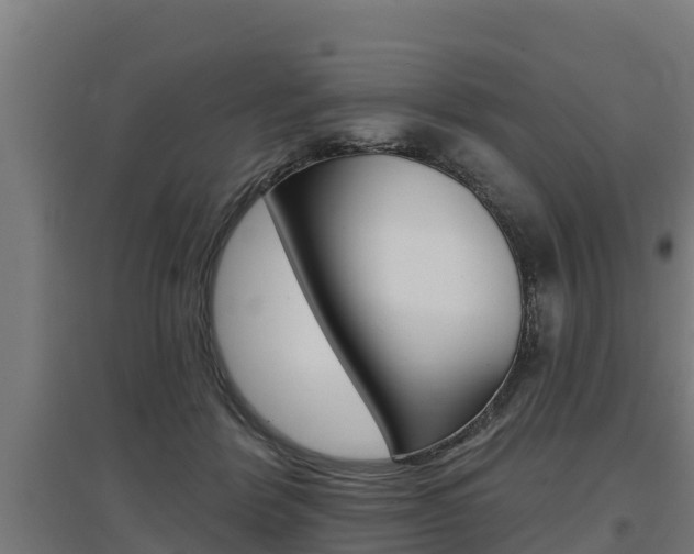 X0000097590412200802290753