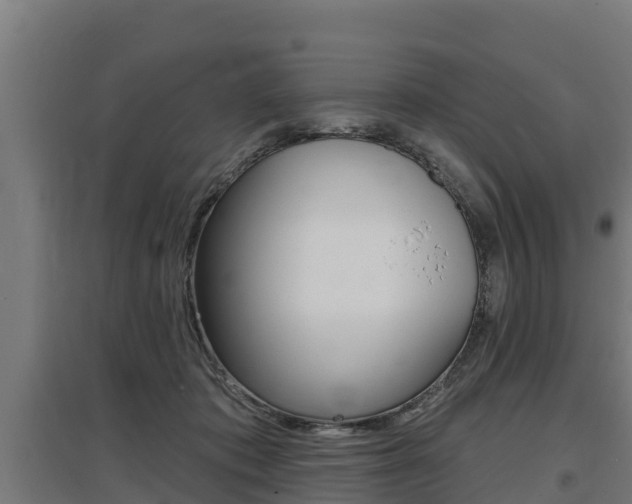 X0000097590413200802290753