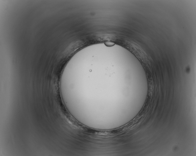 X0000097590414200802290753
