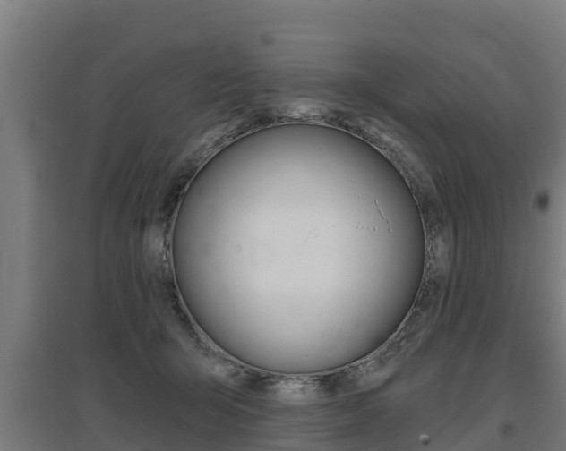 X0000097590415200802290753