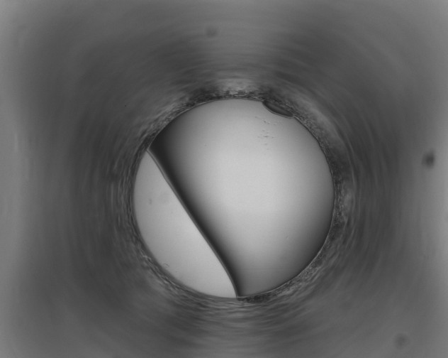X0000097590417200802290753