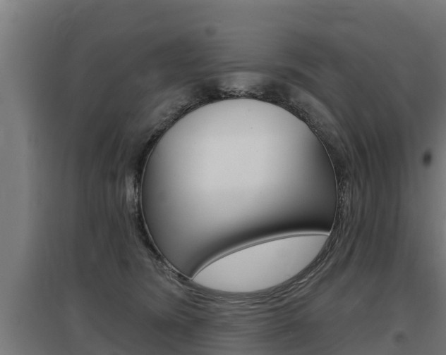 X0000097590420200802290753