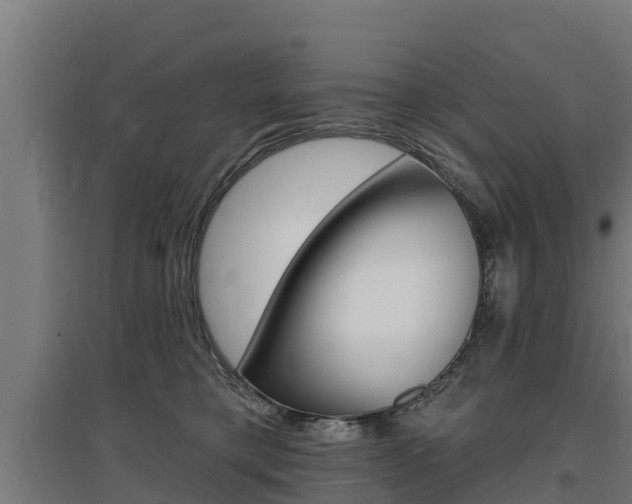 X0000097590421200802290753