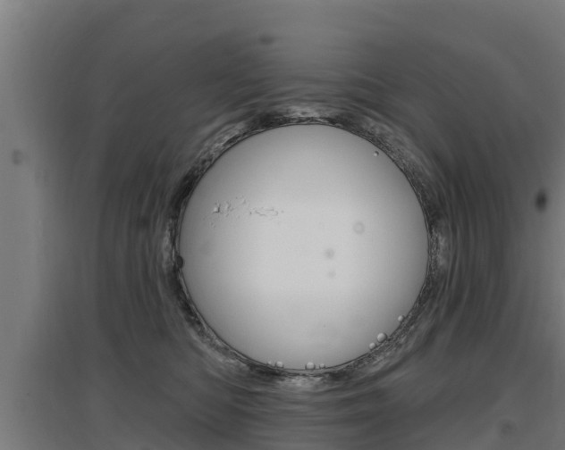 X0000097590422200802290753