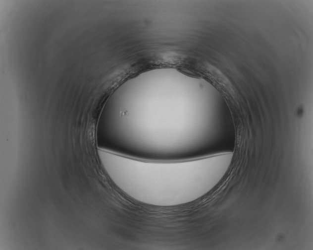 X0000097590425200802290753