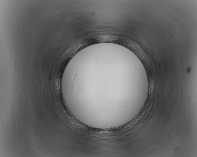 X0000097590426200802290753