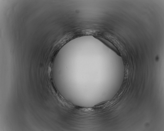 X0000097590427200802290753