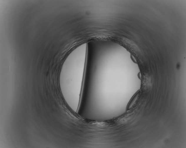 X0000097590428200802290753