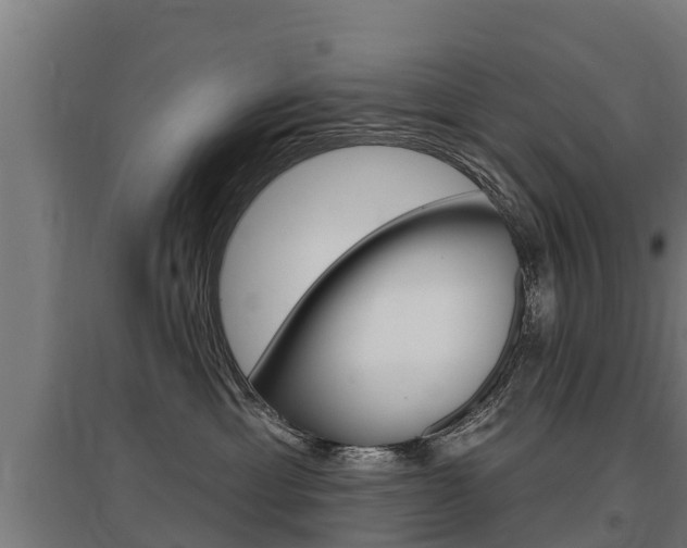 X0000097590429200802290753