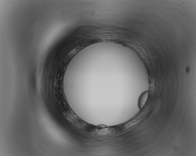 X0000097590430200802290753